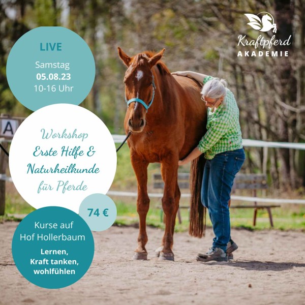 LIVE - Workshop "Naturheilkundliche Stallapotheke für Pferde" am 05.08.23