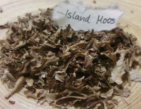 Island Moos, geschnitten - 600 g