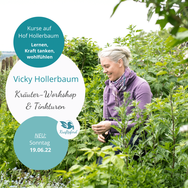 Kräuterworkshop auf Hof Hollerbaum am 19.06.22 * live