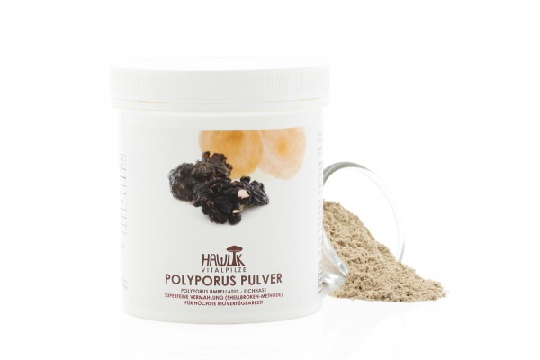 Polyporus Pulver - 100 g (lose) - bio - Hawlik