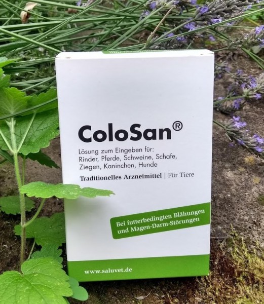 ColoSan - 100 ml - SaluVet