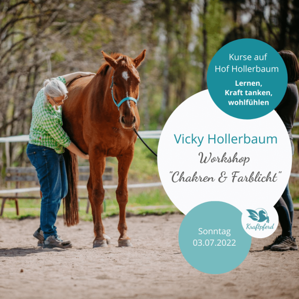 Workshop Chakren + Farblicht mit Vicky Hollerbaum am 03.07.22 * live