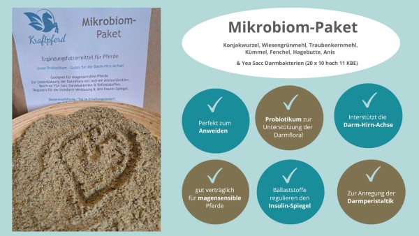 Mikrobiom-Paket - Kraftpferd - 1 kg (Pulver)